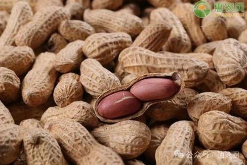 植物蛋白、油料油脂綜合加工利用、食用油安全控制
